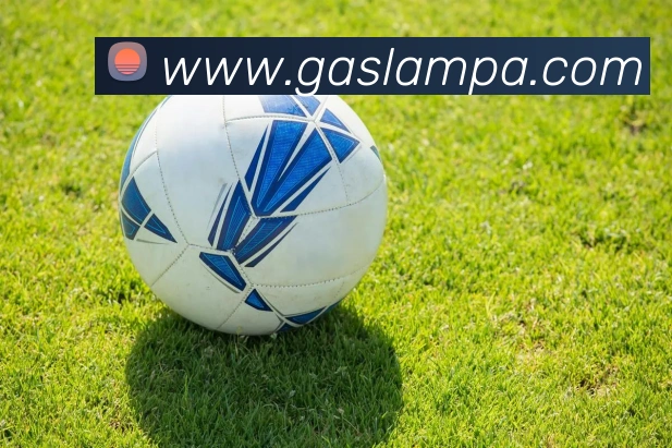 奖项证书